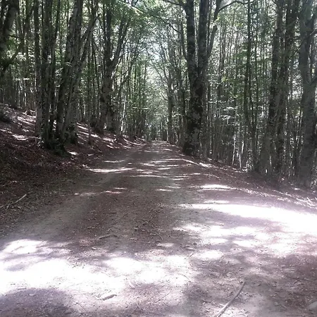 Bed & Breakfast Edelweiss