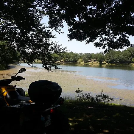 住宿加早餐酒店 Edelweiss