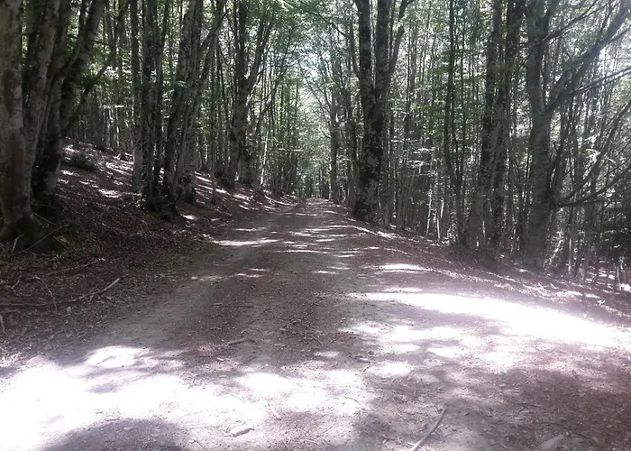 Bed & Breakfast Edelweiss